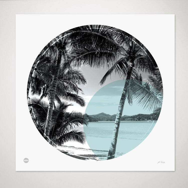 Palm Cove Circle Print