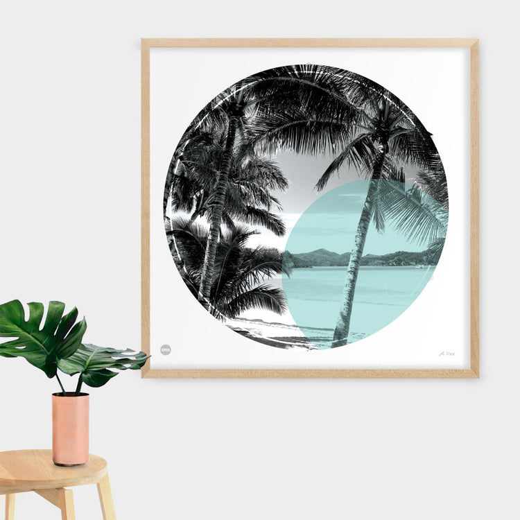 Palm Cove Circle Print