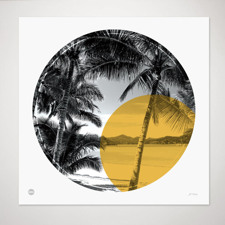 Palm Cove Circle Print